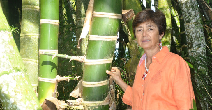 Ximena LondoÃ±o y su colecciÃ³n de bambÃºes mÃ¡s grande de Colombia