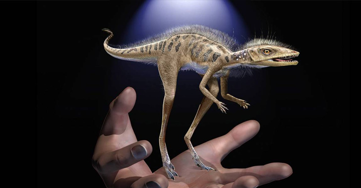Un estudio afirma que los dinosaurios podrían tener un origen diminuto - La  Crónica del Quindío