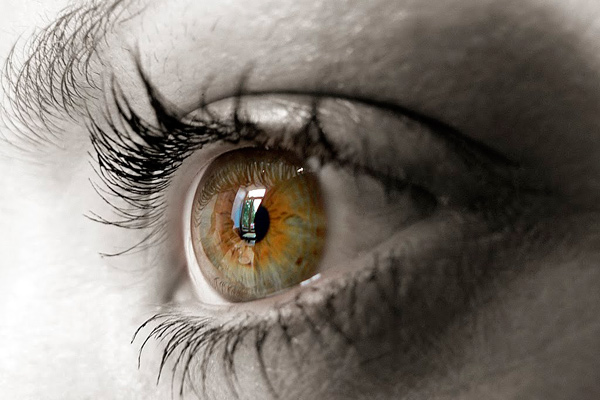 PrevenciÃ³n de la ceguera, tema central del mes de la Salud Visual