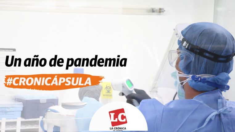 cronicapsula-un-ano-de-pandemia