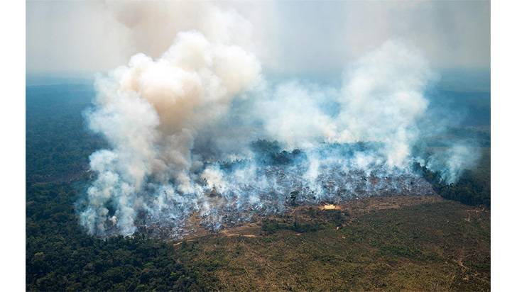 Alerta por incendios forestales en la Amazonía y la Orinoquía