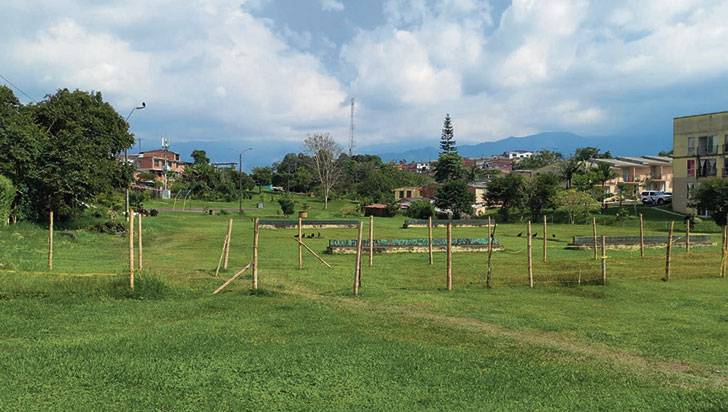 La iniciativa que busca reverdecer el parque de Los Sueños de Armenia sembrando 1.000 árboles