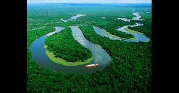 La Amazonía perderá unas 860.000 hectáreas en 2021, según una proyección