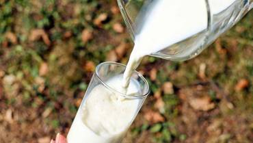 7 % subió el precio de la leche, aún no compensa a lecheros