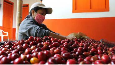 FNC lanza línea de comercialización de café producido por mujeres