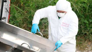 Recolector de café murió este lunes en Montenegro tras el ataque de abejas