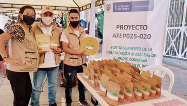 Asociación Musáceas del Quindío ya transforma el plátano en harina