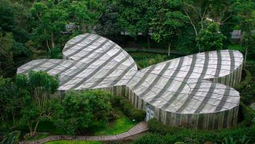 Jardín Botánico del Quindío tendrá nueva atracción: el anfibiario