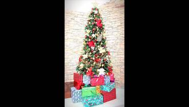 ¿Cuál es el origen y el significado del árbol de Navidad?