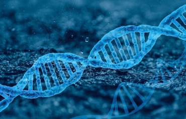 Descifrado el cromosoma Y para entender su función: un nuevo avance en la ciencia