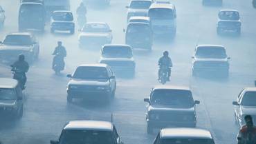 La contaminación en la atmoféra pone en riesgo la polinización